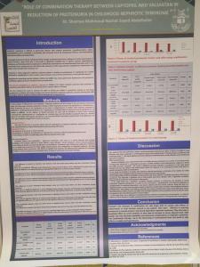 College of Pharmacy Participates in First Forum for Scientific Research